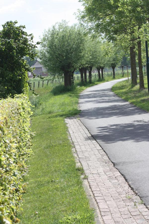 Logerenbijonsz Panzió Berghem Kültér fotó
